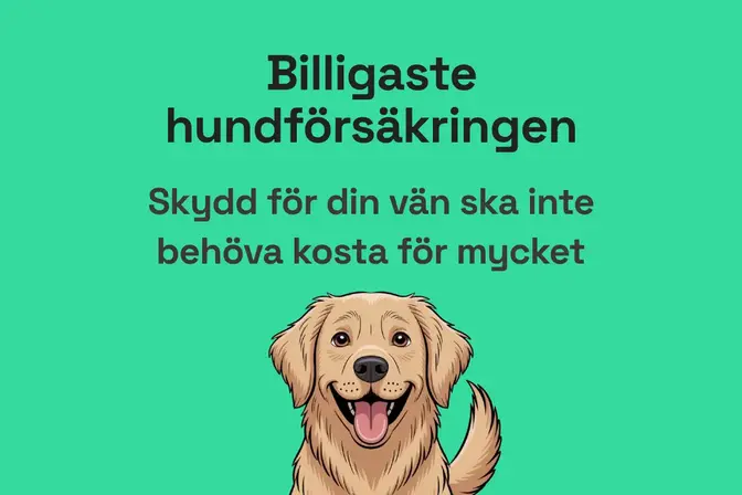 Billigaste hundförsäkringen