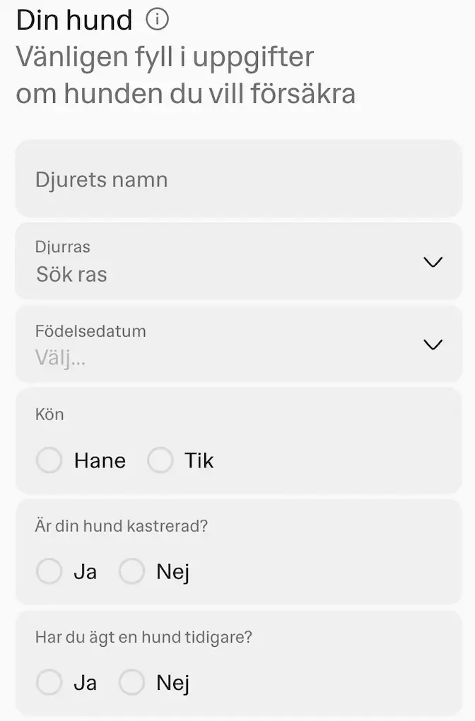 Hedvig ansökningsprocess djurförsäkring