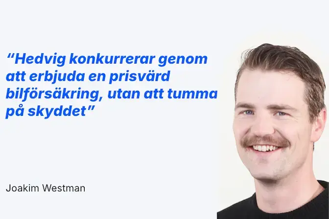 Hedvigs bilförsäkring