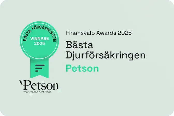 Bästa djurförsäkringen 2025