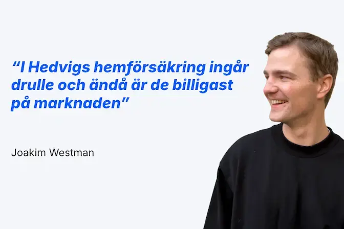 Hedvig hemförsäkring